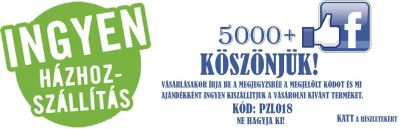 Ingyenes kiszállítás